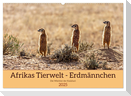 Afrikas Tierwelt - Erdmännchen (Wandkalender 2025 DIN A2 quer), CALVENDO Monatskalender