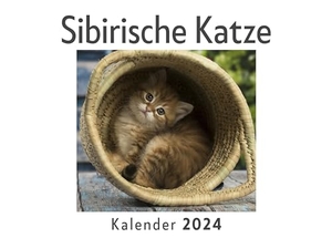 Müller, Anna. Sibirische Katze (Wandkalender 2024, Kalender DIN A4 quer, Monatskalender im Querformat mit Kalendarium, Das perfekte Geschenk). 27amigos, 2023.