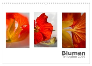 Calmbacher, Christiane. Blumen Trilogien (Wandkalender 2026 DIN A3 quer), CALVENDO Monatskalender - Jeden Monat drei verschiedene Bilder der selben Blume. Ein ganz besonderer Kalender, der sich aus der Masse abhebt.. Calvendo, 2025.