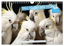 Die Magie der Masse (Wandkalender 2025 DIN A4 quer), CALVENDO Monatskalender