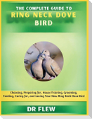 The Complete Guide to Ring Neck Dove Bird