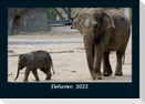 Elefanten  2023 Fotokalender DIN A5