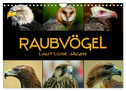 Raubvögel - lautlose Jäger (Wandkalender 2025 DIN A4 quer), CALVENDO Monatskalender