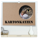Karton Katzen (hochwertiger Premium Wandkalender 2024 DIN A2 quer), Kunstdruck in Hochglanz