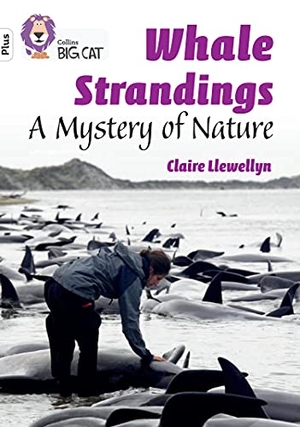 Llewellyn, Claire. Whale Strandings: A Mystery of Nature - Band 10+/White Plus. HarperCollins Publishers, 2022.