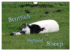 ~Bwd~, ~Bwd~. Scottish Highland Sheep (UK Version) (Wall Calendar 2024 DIN A4 landscape), CALVENDO 12 Month Wall Calendar - with sheeps through the year. Calvendo, 2023.