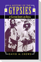 A History of the Gypsies of Eastern Europe and Russia