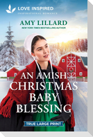 An Amish Christmas Baby Blessing