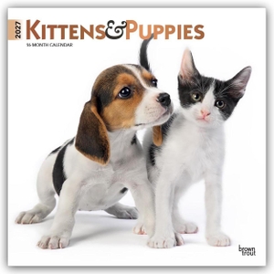 Publishers, Browntrout. Kittens & Puppies - Kätzchen & Welpen 2027 - 16-Monatskalender - Original BrownTrout-Kalender [Mehrsprachig] [Kalender]. Browntrout Verlags GmbH, 2026.