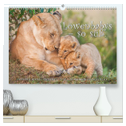Emotionale Momente: Löwenbabys - so süß. (hochwertiger Premium Wandkalender 2024 DIN A2 quer), Kunstdruck in Hochglanz