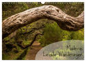 Madeiras Levada-Wanderungen (Wandkalender 2024 DIN A3 quer), CALVENDO Monatskalender