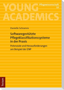 Softwaregestützte Pflegeklassifikationssysteme in der Praxis