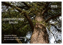 Lebensform Baum (Wandkalender 2025 DIN A2 quer), CALVENDO Monatskalender