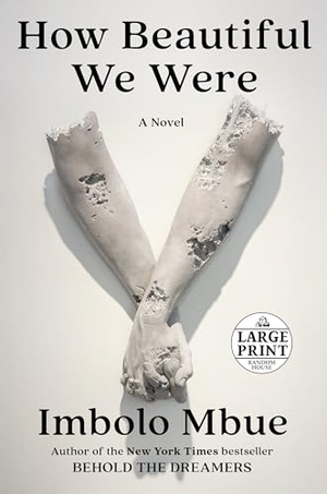 Mbue, Imbolo. How Beautiful We Were - A Novel. Diversified Publishing, 2021.
