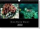 Das Rote Meer - 2022 (Wandkalender 2022 DIN A4 quer)