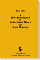 A Short Introduction to Perturbation Theory for Linear Operators