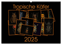 Tropische Käfer (Wandkalender 2025 DIN A2 quer), CALVENDO Monatskalender