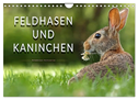Feldhasen und Kaninchen (Wandkalender 2024 DIN A4 quer), CALVENDO Monatskalender