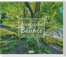 Heimische Bäume 2027