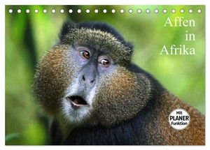 Herzog, Michael. Affen in Afrika (Tischkalender 2024 DIN A5 quer), CALVENDO Monatskalender - Affen in ihrem natürlichen Lebensraum. Calvendo Verlag, 2023.