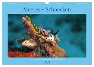 Niemann, Ute. Meeres-Schnecken (Wandkalender 2024 DIN A3 quer), CALVENDO Monatskalender - Bunt wie Schmetterlinge im Korallenriff. Calvendo, 2023.