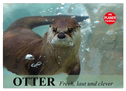 Otter. Frech, laut und clever (Wandkalender 2024 DIN A2 quer), CALVENDO Monatskalender