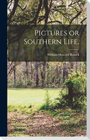Pictures or Southern Life,