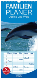 Familienplaner 2025 - Delfine und Wale mit 5 Spalten (Wandkalender, 21 x 45 cm) CALVENDO