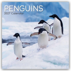 Gifted Stationery Co. Ltd. Penguins - Pinguine 2027 - 16-Monatskalender - Original Gifted Stationery-Kalender [Mehrsprachig] [Kalender]. Browntrout Verlags GmbH, 2026.