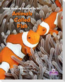 Animals Called Fish