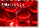 Mikrobiologie. Mikroorganismen, Genetik und Zellen (Wandkalender 2023 DIN A3 quer)