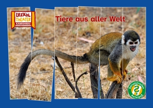 Rätselstreifen Ratespaß: Tiere aus aller Welt / Kamishibai Bildkarten - 16 Fotobildkarten für das Erzähltheater. Hase und Igel Verlag GmbH, 2026.