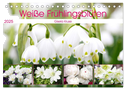 Weiße Frühlingsblüten (Tischkalender 2025 DIN A5 quer), CALVENDO Monatskalender