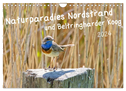 Naturparadies Nordstrand und Beltringharder Koog (Wandkalender 2025 DIN A4 quer), CALVENDO Monatskalender
