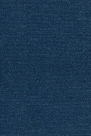 Stark, Rodney. The Rise of Christianity - A Sociologist Reconsiders History. Princeton University Press, 1996.