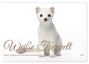 Tapper, Daniela. Weiße Tierwelt (Wandkalender 2024 DIN A2 quer), CALVENDO Monatskalender - Weiße Schönheiten der Natur. Calvendo, 2023.