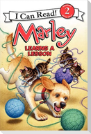 Marley Learns a Lesson