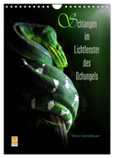 Schlangen im Lichtfenster des Dschungels (Wandkalender 2024 DIN A4 hoch), CALVENDO Monatskalender