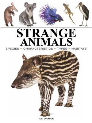 Jackson, Tom. Strange Animals. Amber Books Ltd, 2026.