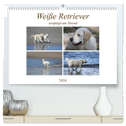 Weiße Retriever vergnügt am Strand (hochwertiger Premium Wandkalender 2024 DIN A2 quer), Kunstdruck in Hochglanz