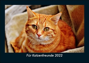 Tobias Becker. Für Katzenfreunde 2022 Fotokalender DIN A5 - Monatskalender mit Bild-Motiven von Haustieren, Bauernhof, wilden Tieren und Raubtieren. Vero Kalender, 2022.