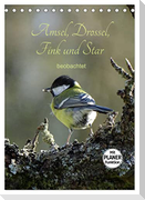 Amsel, Drossel, Fink und Star - beobachtet (Tischkalender 2024 DIN A5 hoch), CALVENDO Monatskalender