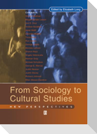 From Sociology to Cultural Studies