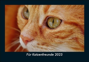 Tobias Becker. Für Katzenfreunde 2023 Fotokalender DIN A5 - Monatskalender mit Bild-Motiven von Haustieren, Bauernhof, wilden Tieren und Raubtieren. Vero Kalender, 2022.