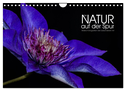 Der Natur auf der Spur - Makro-Fotografien der besonderen Art (Wandkalender 2025 DIN A4 quer), CALVENDO Monatskalender