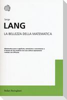 La bellezza della matematica