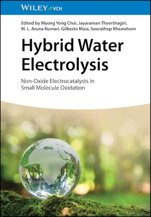 Choi, Myong Yong / Jayaraman Theerthagiri et al (Hrsg.). Hybrid Water Electrolysis - Non-Oxide Electrocatalysts in Small Molecule Oxidation. Wiley-VCH GmbH, 2026.