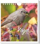 Vögel in unserem Garten 2027