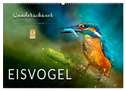 Wunderschöner Eisvogel (Wandkalender 2024 DIN A2 quer), CALVENDO Monatskalender