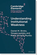 Understanding Institutional Weakness